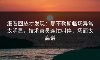 细看回放才发现：那不勒斯临场异常太明显，技术官员连忙叫停，场面太离谱