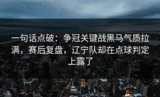 一句话点破：争冠关键战黑马气质拉满，赛后复盘，辽宁队却在点球判定上露了