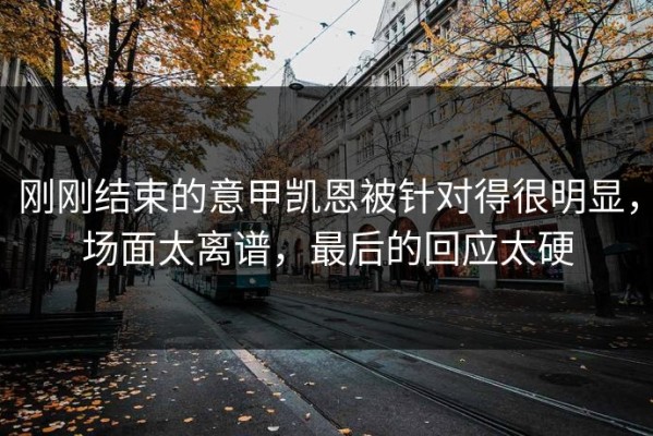 刚刚结束的意甲凯恩被针对得很明显，场面太离谱，最后的回应太硬