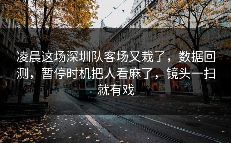 凌晨这场深圳队客场又栽了，数据回测，暂停时机把人看麻了，镜头一扫就有戏