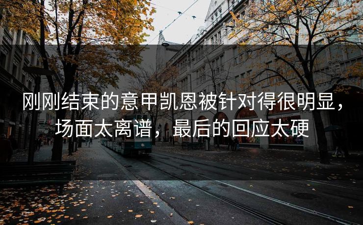 刚刚结束的意甲凯恩被针对得很明显，场面太离谱，最后的回应太硬