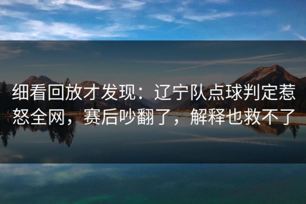 细看回放才发现：辽宁队点球判定惹怒全网，赛后吵翻了，解释也救不了