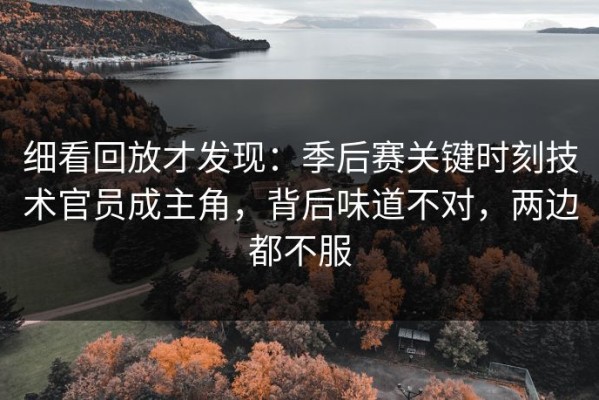 细看回放才发现：季后赛关键时刻技术官员成主角，背后味道不对，两边都不服