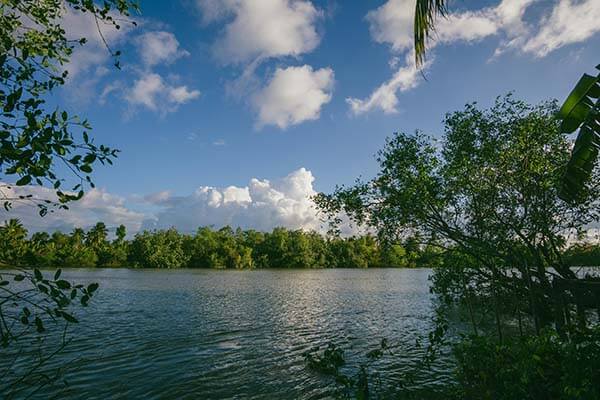 亚冠里约基奇的防守站位有点怪，判罚争议一，体彩数据有说法