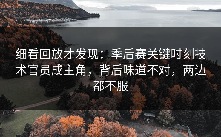 细看回放才发现：季后赛关键时刻技术官员成主角，背后味道不对，两边都不服
